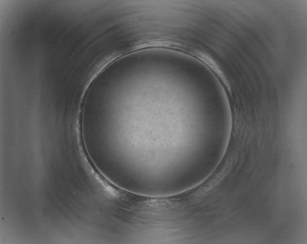 X0000072510906200607141129