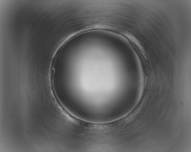 X0000072510910200607141129
