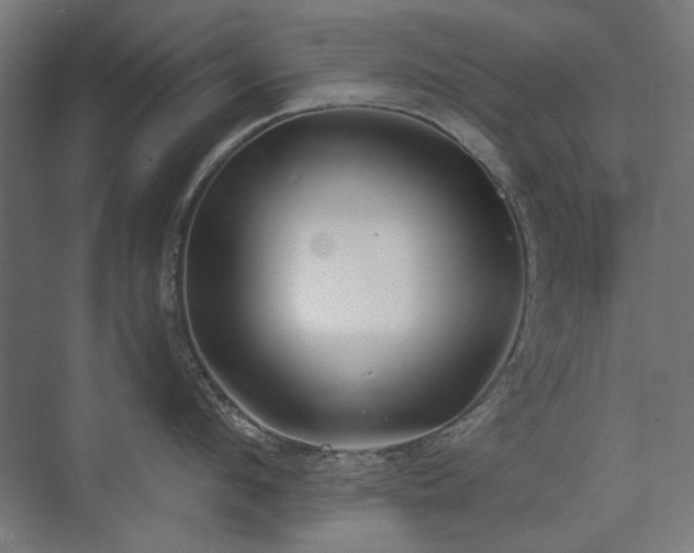 X0000072510912200607141129