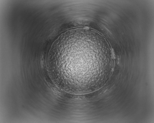 X0000072510915200607141128