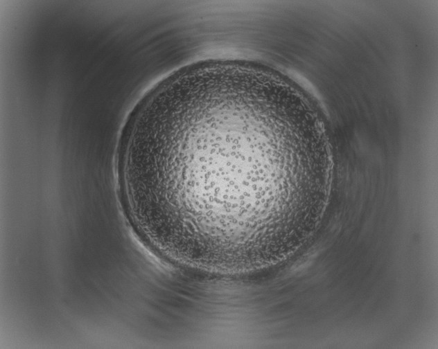 X0000072510935200607141128