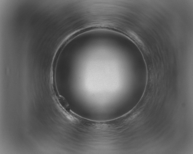 X0000072510940200607141128