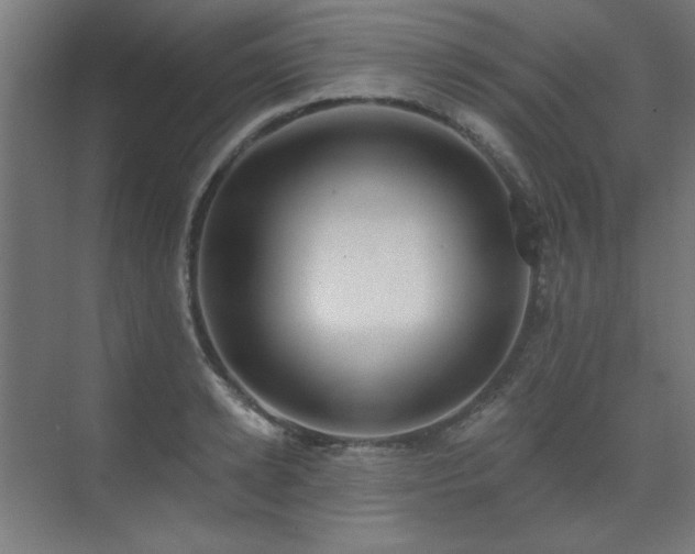 X0000072510942200607141128