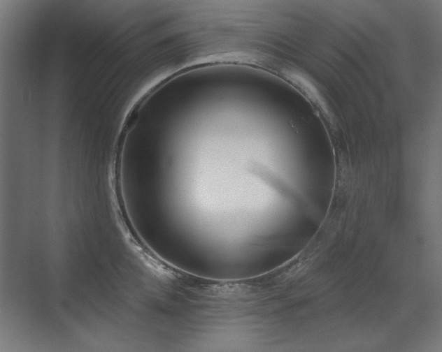 X0000072510952200607141128