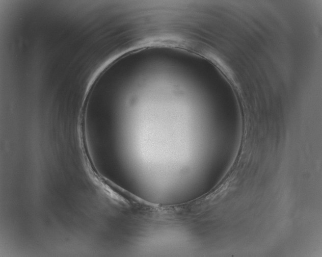 X0000072510960200607141129