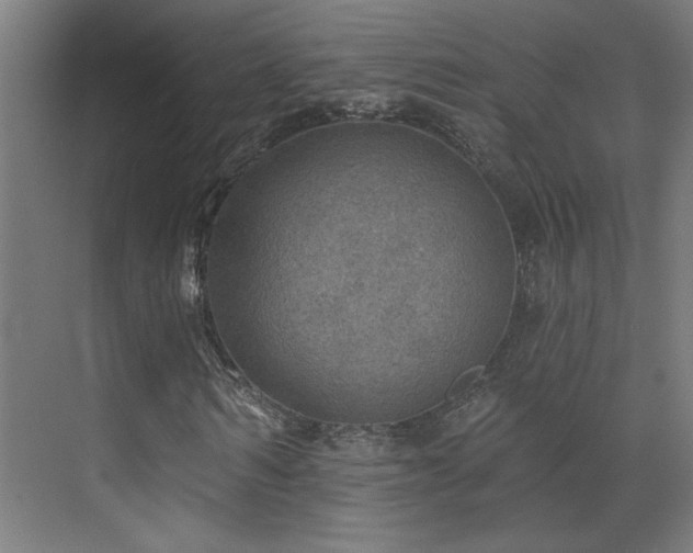 X0000072510962200607141128
