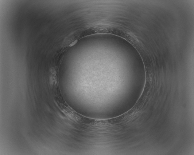 X0000072510964200607141128