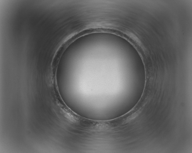 X0000072510974200607141128