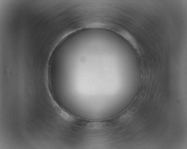 X0000072511000200607141127