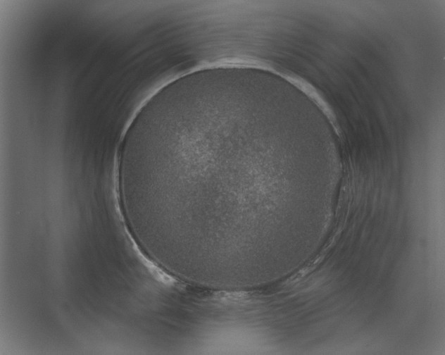 X0000072511006200607141127