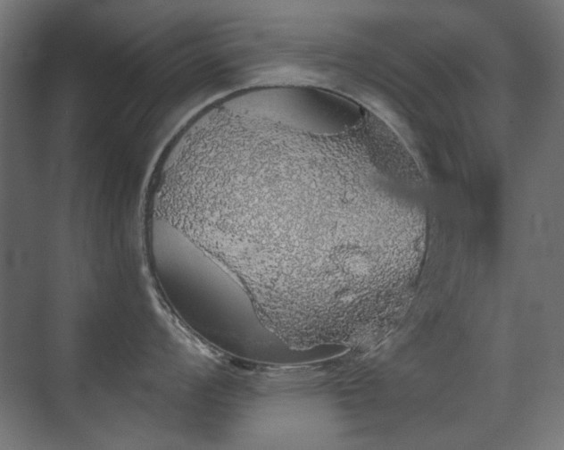 X0000072511008200607141127