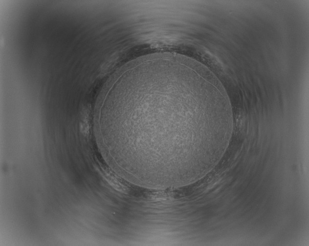 X0000072511012200607141126