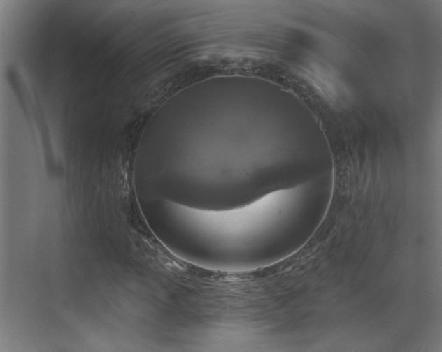 X0000072511013200607141126
