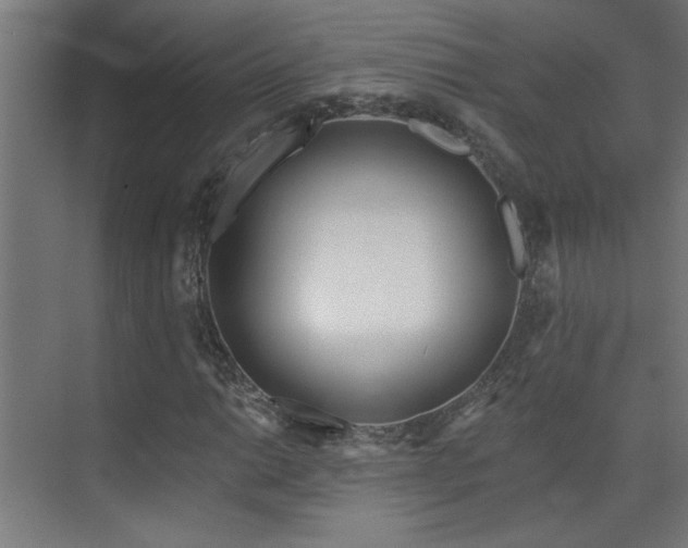 X0000072511014200607141126