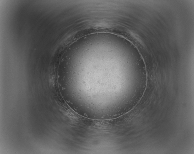 X0000072511015200607141126