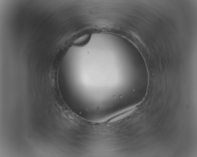 X0000072511016200607141126