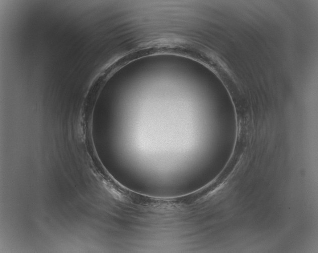 X0000072511018200607141126