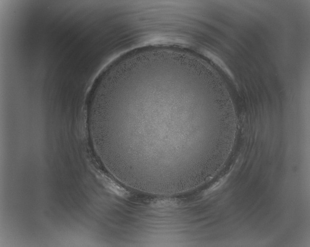 X0000072511021200607141126
