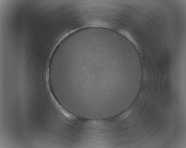 X0000072511040200607141127