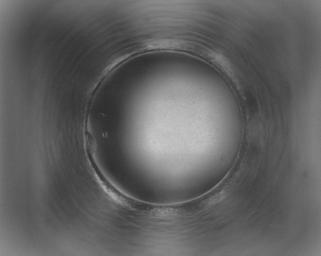 X0000072511041200607141127