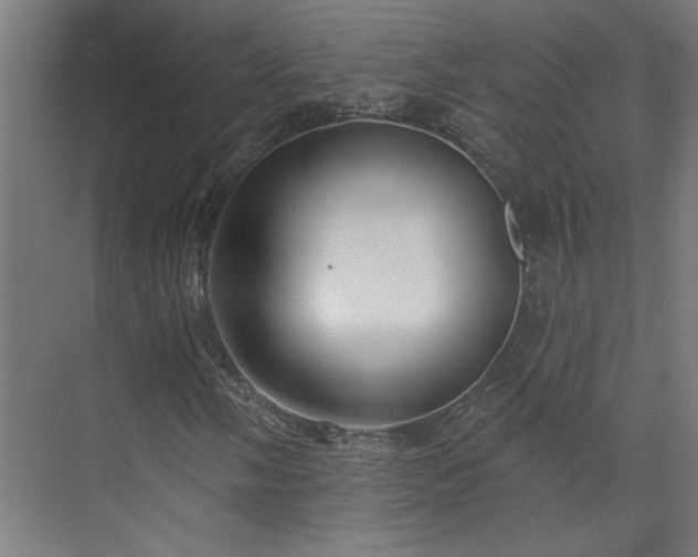 X0000072511058200607141126