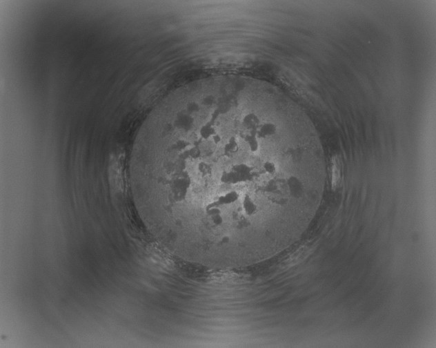 X0000072511059200607141126