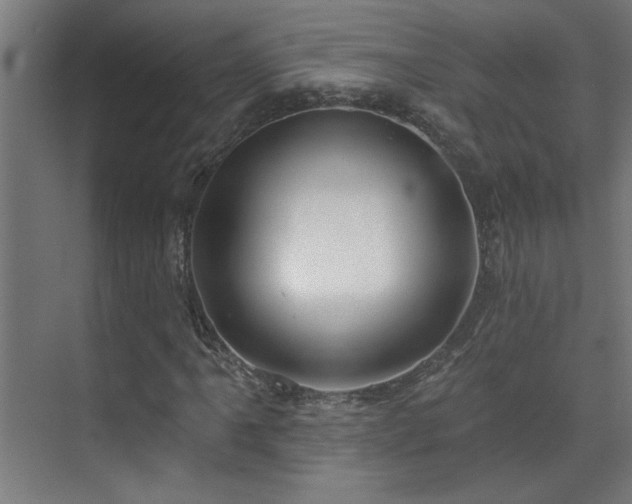 X0000072511061200607141126