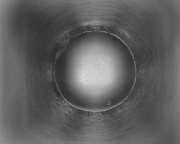 X0000072511062200607141126