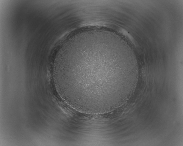 X0000072511064200607141126