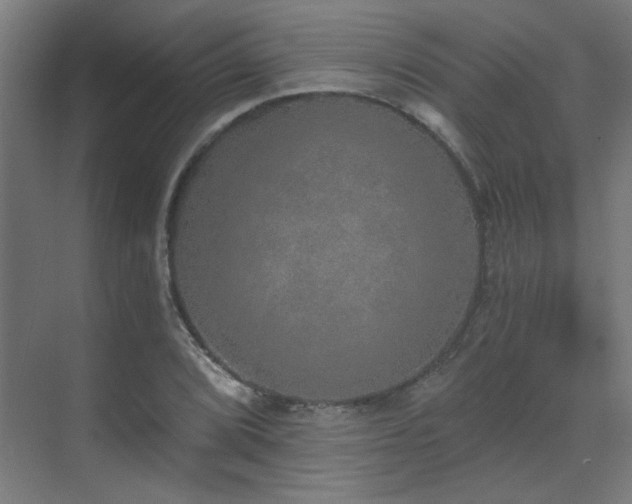 X0000072511072200607141126