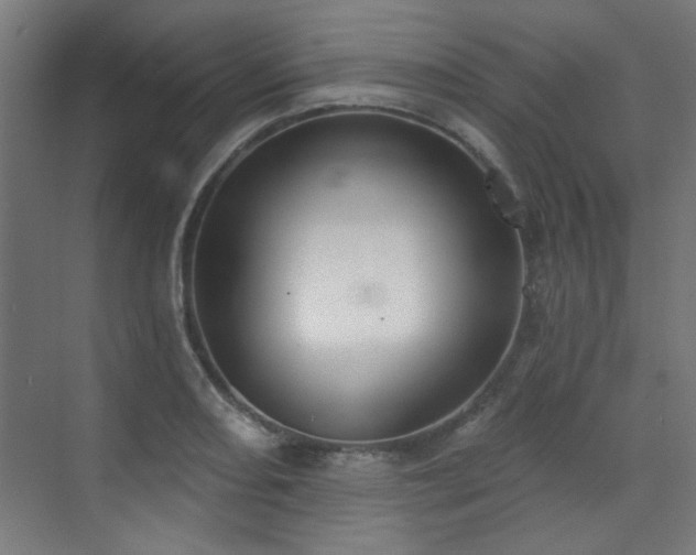 X0000072511082200607141126