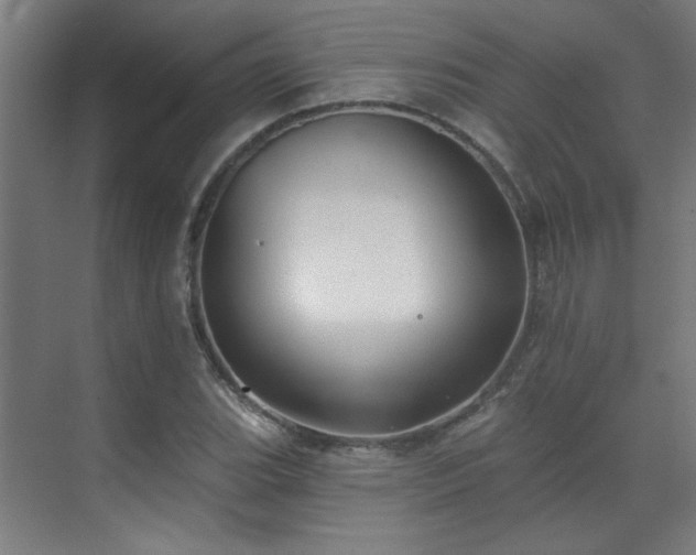 X0000072511119200607141125
