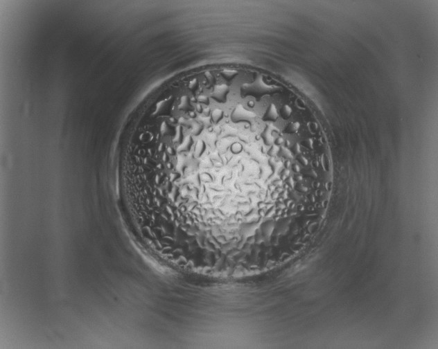 X0000072511127200607141125