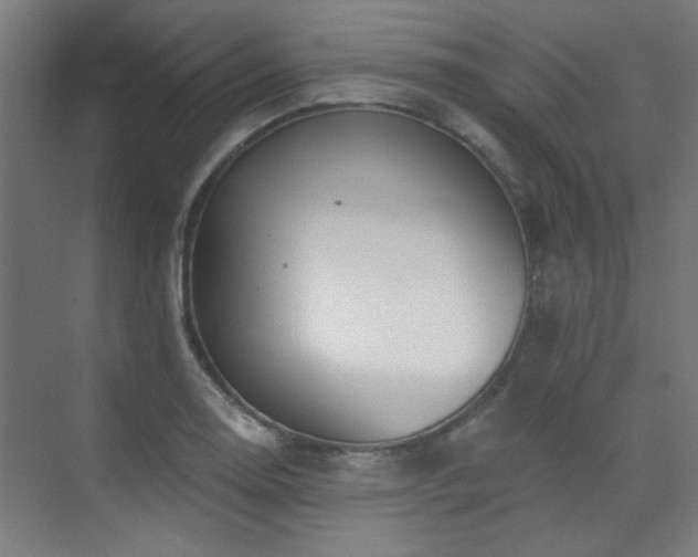 X0000072511130200607141125