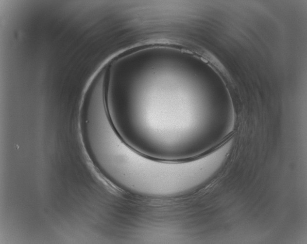 X0000072511132200607141125