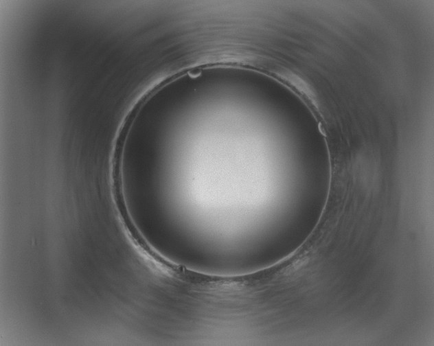 X0000072511135200607141125
