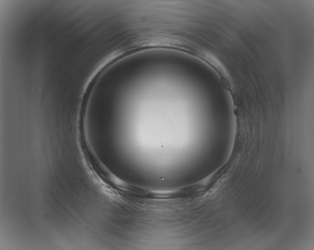 X0000072511138200607141125
