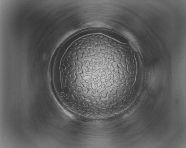 X0000072511141200607141125