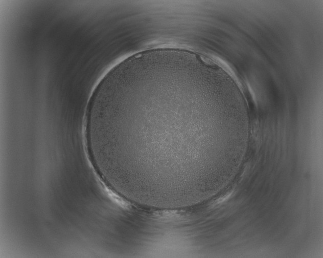 X0000072511149200607141125