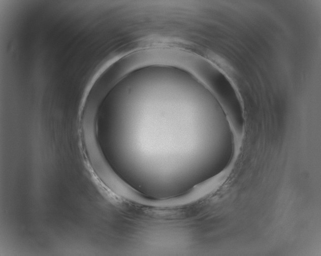 X0000072511152200607141125