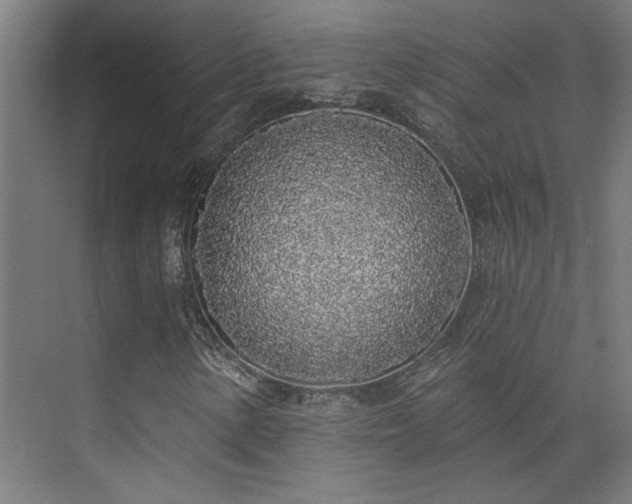 X0000072511154200607141125