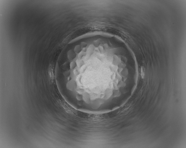 X0000072511155200607141125