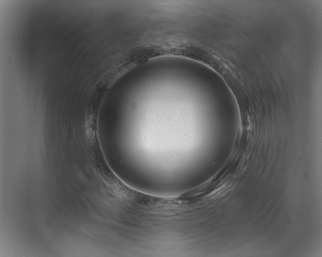 X0000072511156200607141125