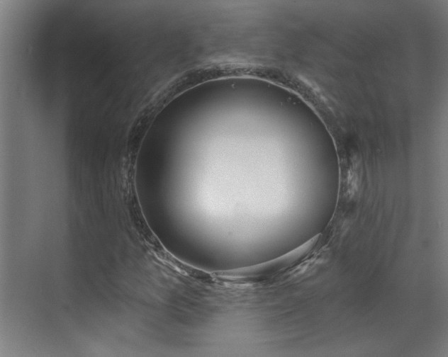 X0000072511157200607141125