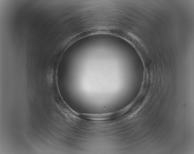 X0000072511161200607141124