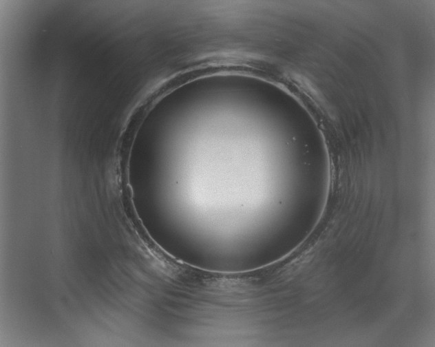 X0000072511164200607141124