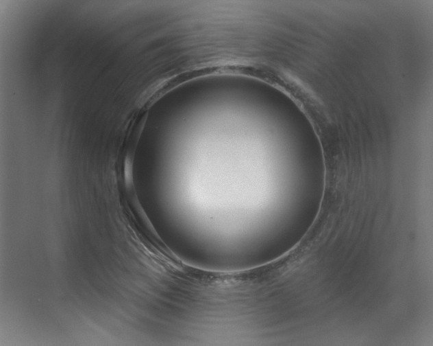 X0000072511169200607141124