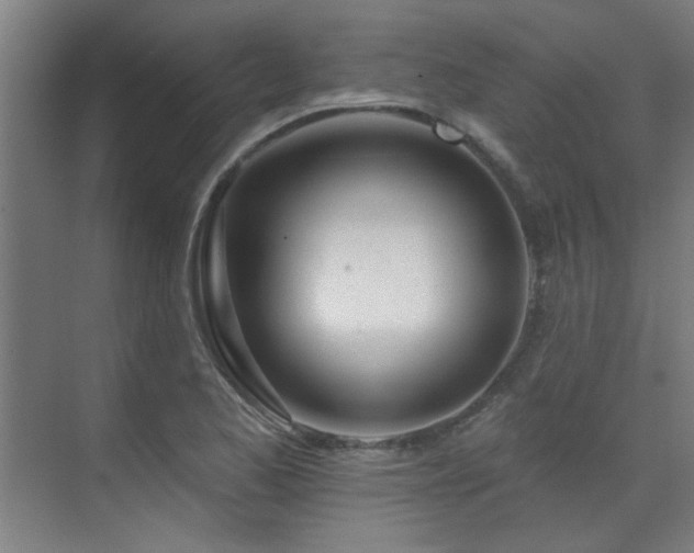 X0000072511173200607141124