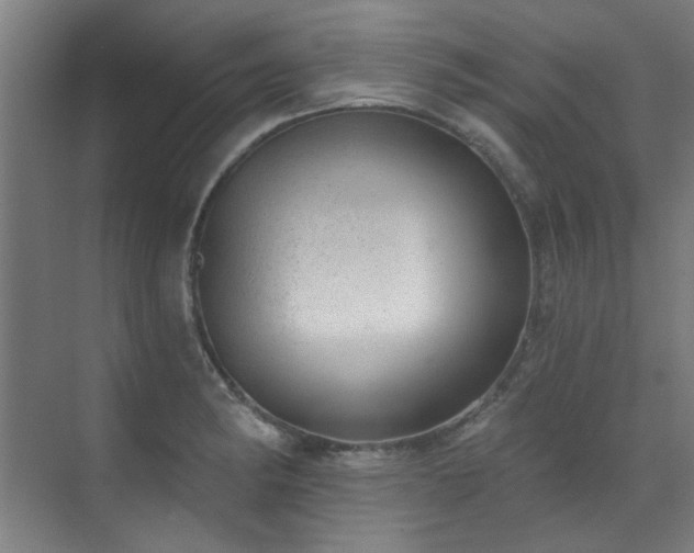 X0000072511182200607141124