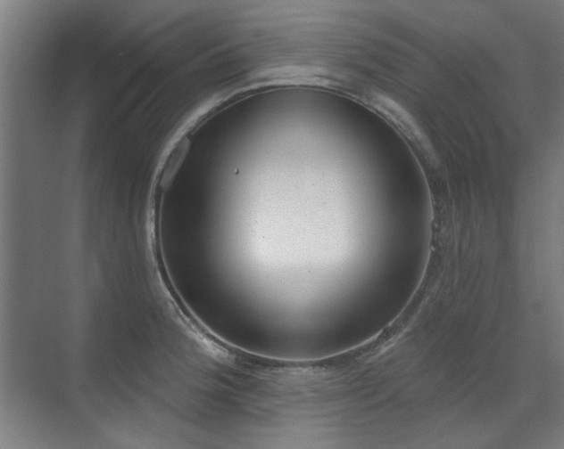 X0000072511188200607141124